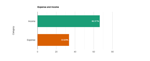 Expense Income Thumbnail